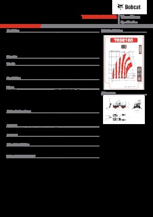 Încărcătoare telescopice cu structură superioară Bobcat TR38160EVO IIIB
