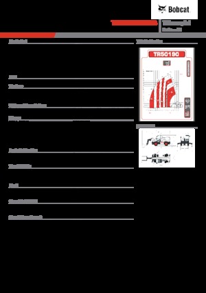 Încărcătoare telescopice cu structură superioară Bobcat TR50190EVO IIIB