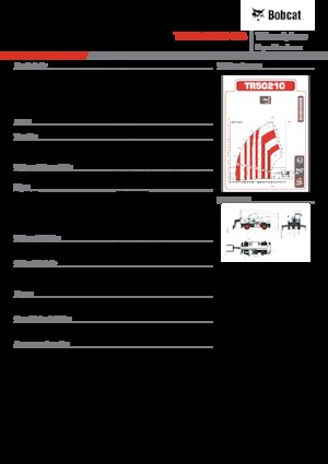 Încărcătoare telescopice cu structură superioară Bobcat TR50210EVO IIIB