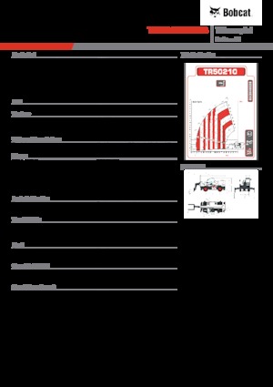 Încărcătoare telescopice cu structură superioară Bobcat TR50210EVO IIIB