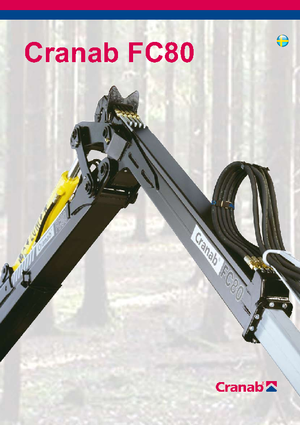 Macarale de încărcat bușteni Cranab FC 80 Combi