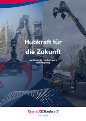 Macarale de încărcat bușteni Cranab RZ 18.1 NHY 3+3