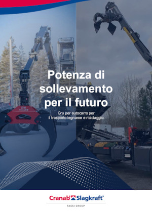 Macarale de încărcat bușteni Cranab RZ 18.1 NHY 3+3