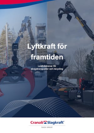 Macarale de încărcat bușteni Cranab RZ 18.1 NHY 3+3