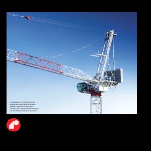 Macarale turn - braț mobil - rotire în partea superioară Raimondi LR273