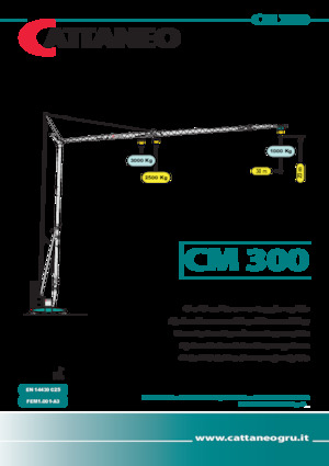 Macalare turn - deplasare cărucior pe braț - rotire în partea inferioară Cattaneo CM 300