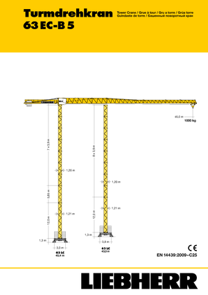 Macalare turn - deplasare cărucior pe braț - rotire în partea superioară Liebherr 63 EC-B 5