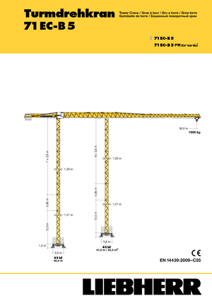 Macalare turn - deplasare cărucior pe braț - rotire în partea superioară Liebherr 71 EC-B