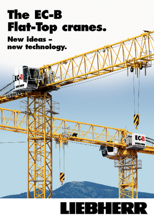 Macalare turn - deplasare cărucior pe braț - rotire în partea superioară Liebherr 250 EC-B 12 Litronic