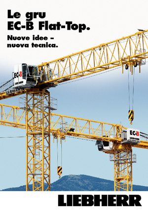 Macalare turn - deplasare cărucior pe braț - rotire în partea superioară Liebherr 250 EC-B 12 Litronic