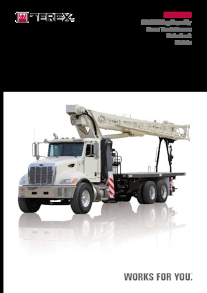 Automacarale TEREX CRANES BT 28106