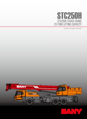 Macarale telescopice montate pe camion Sany STC250H