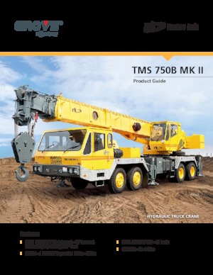 Macarale telescopice montate pe camion Til TMS 750B MK II