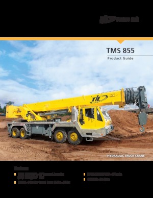 Macarale telescopice montate pe camion Til TMS 855