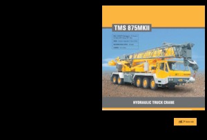 Macarale telescopice montate pe camion Til TMS 875 MK II
