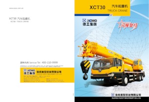Macarale telescopice montate pe camion XCMG XCT30E