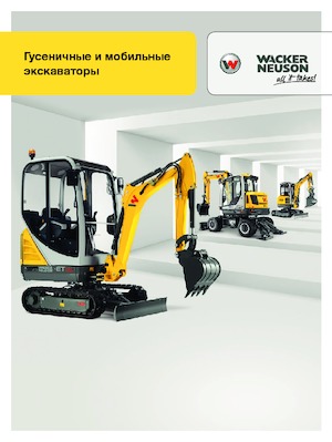 Excavatoare pe roți Wacker Neuson EW 100
