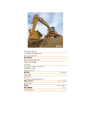 Excavatoare pe roți Case WX 210
