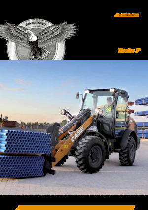 Încărcătoare pe roți Case 221 F  