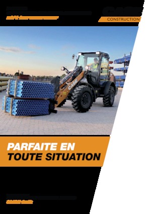 Încărcătoare pe roți Case 21F