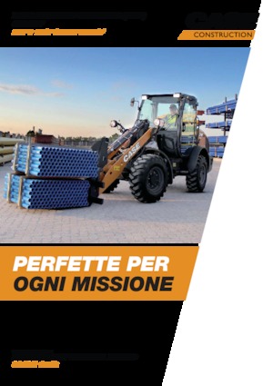 Încărcătoare pe roți Case 21F