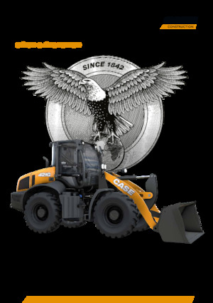 Încărcătoare pe roți Case 421 G  