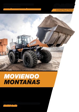 Încărcătoare pe roți Case 521G