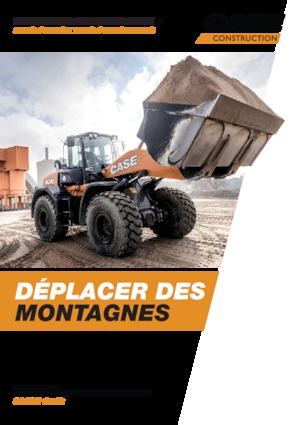 Încărcătoare pe roți Case 521G