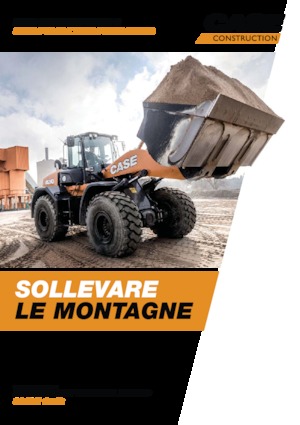 Încărcătoare pe roți Case 521G