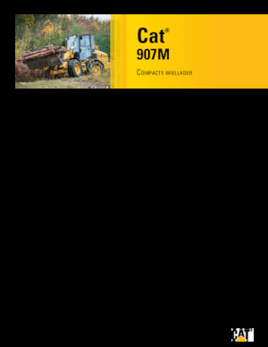 Încărcătoare pe roți Caterpillar 907M