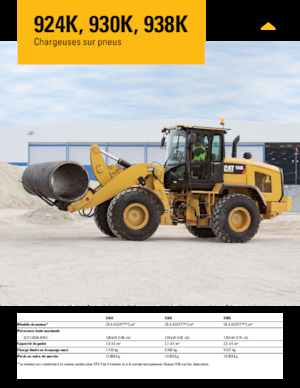 Încărcătoare pe roți Caterpillar 924K