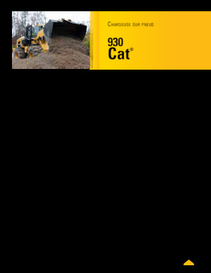 Încărcătoare pe roți Caterpillar 930