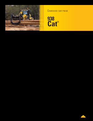 Încărcătoare pe roți Caterpillar 938