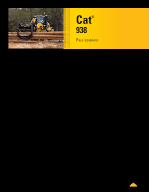 Încărcătoare pe roți Caterpillar 938