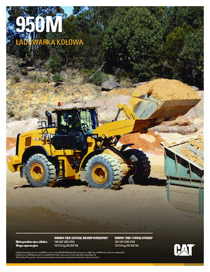 Încărcătoare pe roți Caterpillar 950M