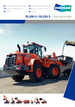 Încărcătoare pe roți Doosan DL250-3
