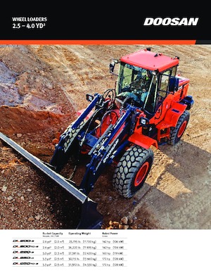 Încărcătoare pe roți Doosan DL200-5