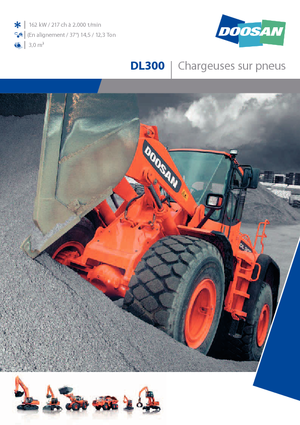 Încărcătoare pe roți Doosan DL 300