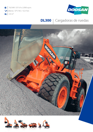 Încărcătoare pe roți Doosan DL 300