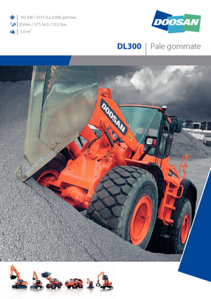 Încărcătoare pe roți Doosan DL 300