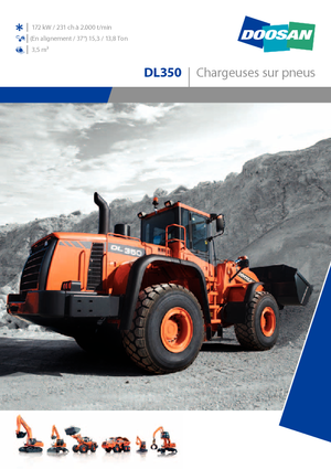 Încărcătoare pe roți Doosan DL 350