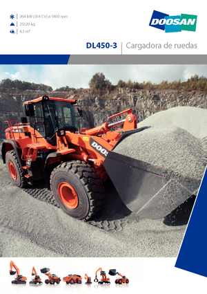 Încărcătoare pe roți Doosan DL450-3
