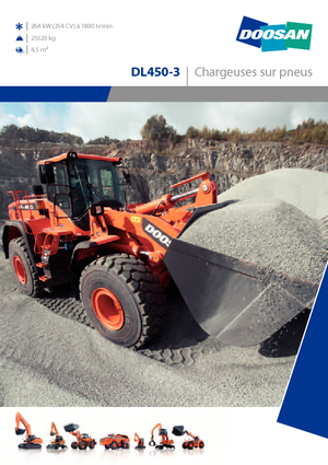 Încărcătoare pe roți Doosan DL450-3