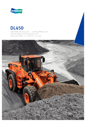Încărcătoare pe roți Doosan DL 450