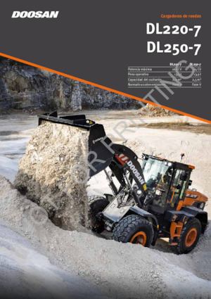 Încărcătoare pe roți Doosan DL250-7