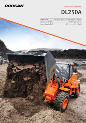 Încărcătoare pe roți Doosan DL250A