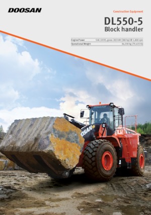 Încărcătoare pe roți Doosan DL550-5BH