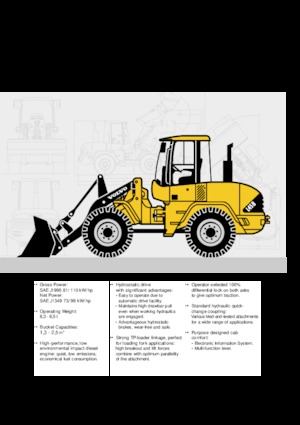 Încărcătoare pe roți Volvo L 45 BTP