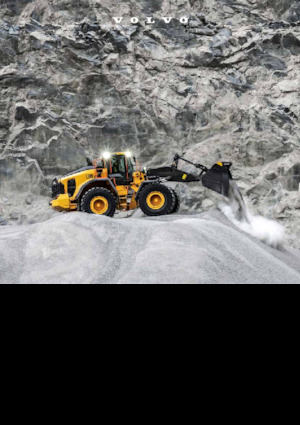 Încărcătoare pe roți Volvo L180 