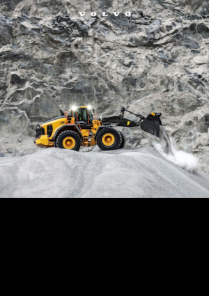 Încărcătoare pe roți Volvo L180 